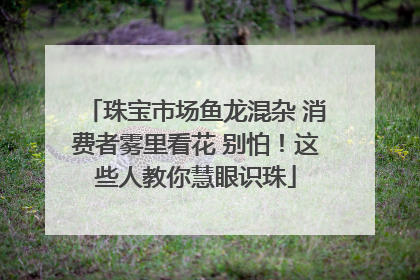 珠宝市场鱼龙混杂 消费者雾里看花 别怕！这些人教你慧眼识珠