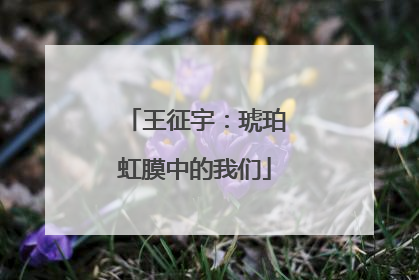 王征宇：琥珀虹膜中的我们