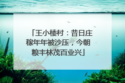 王小楼村：昔日庄稼年年被沙压，今朝粮丰林茂百业兴