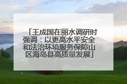 王成国在丽水调研时强调：以更高水平安全和法治环境服务保障山区海岛县高质量发展