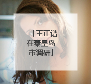 王正谱在秦皇岛市调研