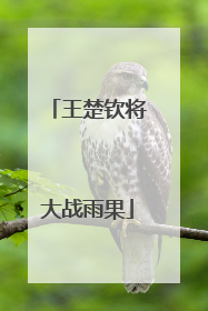 王楚钦将大战雨果