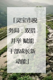灵宝市税务局：双措并举 赋能干部成长新动能