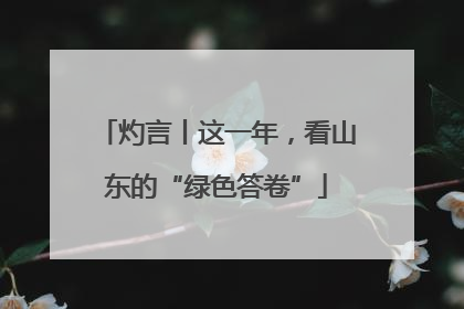 灼言丨这一年，看山东的“绿色答卷”