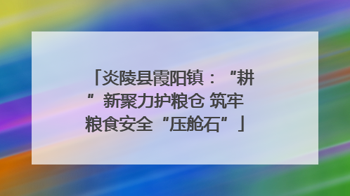 炎陵县霞阳镇：“耕”新聚力护粮仓 筑牢粮食安全“压舱石”