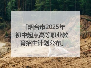 烟台市2025年初中起点高等职业教育招生计划公布
