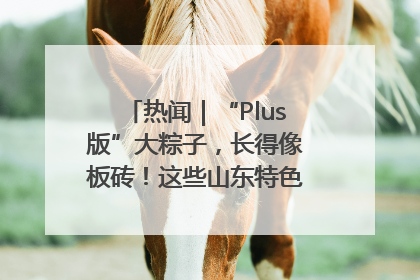 热闻｜“Plus版”大粽子，长得像板砖！这些山东特色粽子你吃过吗？