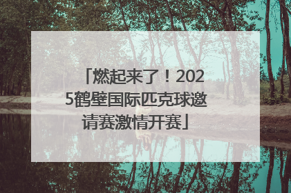燃起来了！2025鹤壁国际匹克球邀请赛激情开赛