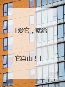 爱它，就给它自由！