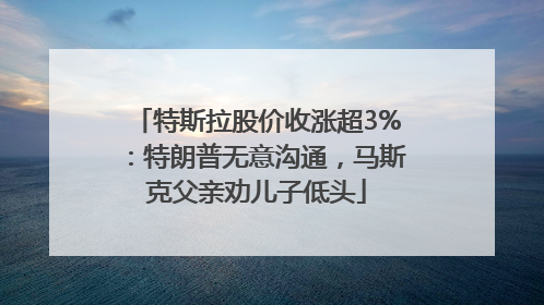特斯拉股价收涨超3%：特朗普无意沟通，马斯克父亲劝儿子低头