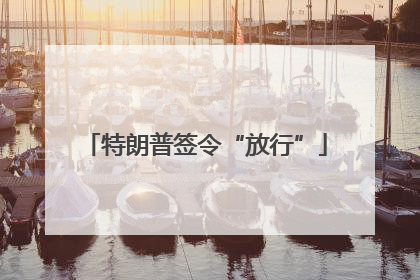 特朗普签令“放行”