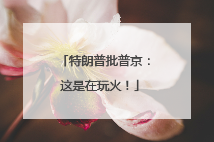 特朗普批普京：这是在玩火！