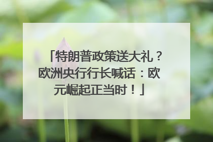 特朗普政策送大礼？欧洲央行行长喊话：欧元崛起正当时！