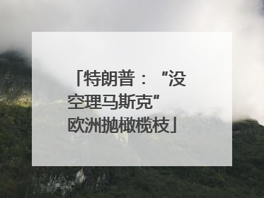 特朗普：“没空理马斯克” 欧洲抛橄榄枝