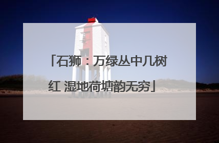 石狮：万绿丛中几树红 湿地荷塘韵无穷