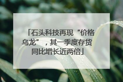 石头科技再现“价格乌龙”，其一季度存货同比增长近两倍
