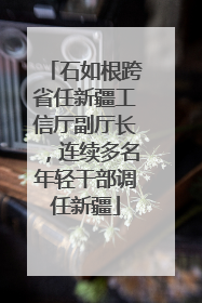 石如根跨省任新疆工信厅副厅长，连续多名年轻干部调任新疆