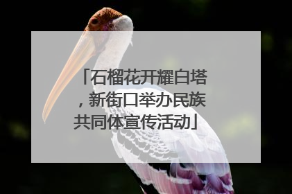 石榴花开耀白塔，新街口举办民族共同体宣传活动