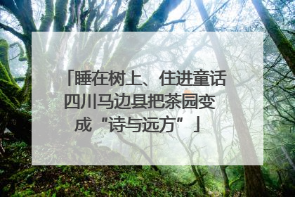 睡在树上、住进童话 四川马边县把茶园变成“诗与远方”