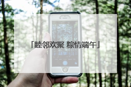 睦邻欢聚 粽情端午