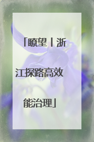 瞭望丨浙江探路高效能治理