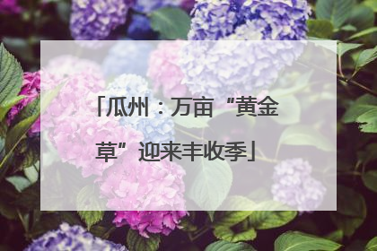 瓜州：万亩“黄金草”迎来丰收季