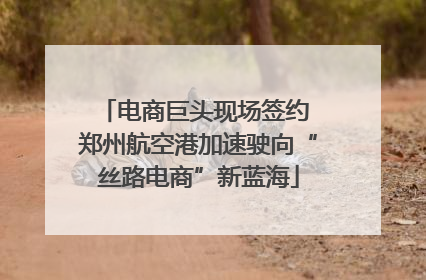 电商巨头现场签约 郑州航空港加速驶向“丝路电商”新蓝海