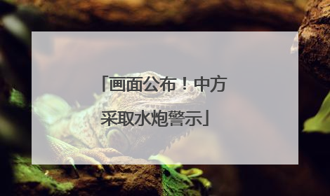 画面公布！中方采取水炮警示