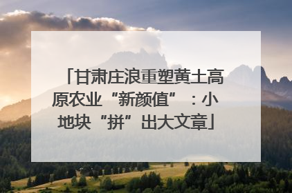甘肃庄浪重塑黄土高原农业“新颜值”：小地块“拼”出大文章