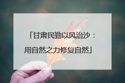 甘肃民勤以风治沙：用自然之力修复自然