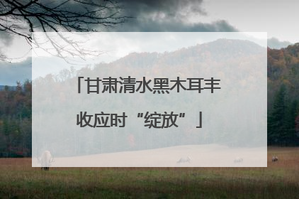 甘肃清水黑木耳丰收应时“绽放”