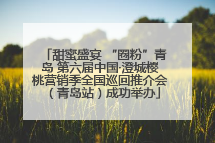 甜蜜盛宴 “圈粉”青岛 第六届中国·澄城樱桃营销季全国巡回推介会（青岛站）成功举办