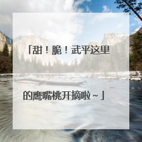 甜！脆！武平这里的鹰嘴桃开摘啦～