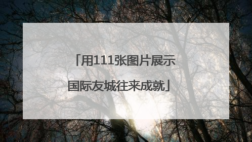 用111张图片展示国际友城往来成就