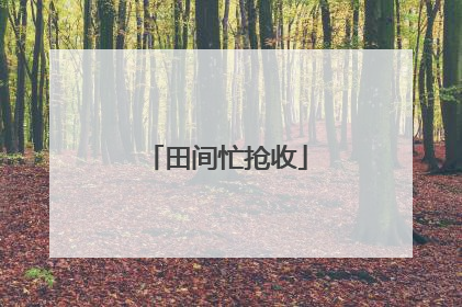 田间忙抢收