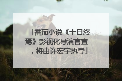 番茄小说《十日终焉》影视化导演官宣，将由许宏宇执导