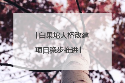 白果坨大桥改建项目稳步推进