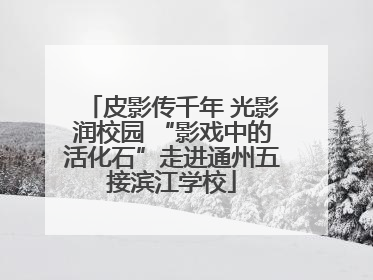 皮影传千年 光影润校园 “影戏中的活化石”走进通州五接滨江学校