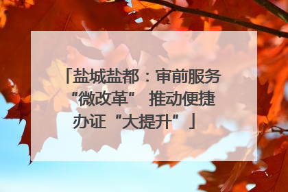 盐城盐都：审前服务“微改革” 推动便捷办证“大提升”