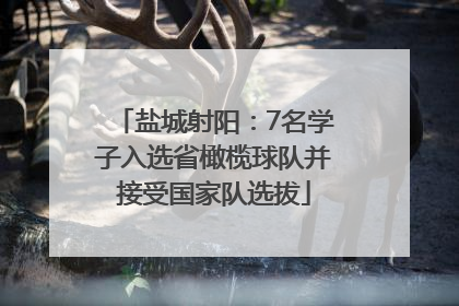 盐城射阳：7名学子入选省橄榄球队并接受国家队选拔