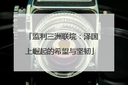 监利三洲联垸：泽国上崛起的希望与坚韧