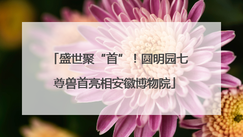 盛世聚“首”！圆明园七尊兽首亮相安徽博物院