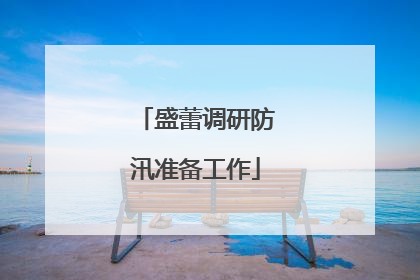 盛蕾调研防汛准备工作