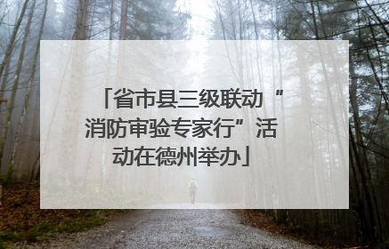 省市县三级联动“消防审验专家行”活动在德州举办