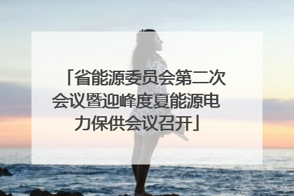 省能源委员会第二次会议暨迎峰度夏能源电力保供会议召开