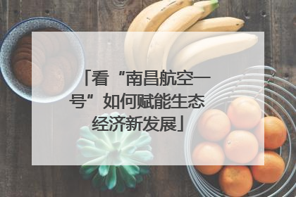 看“南昌航空一号”如何赋能生态经济新发展
