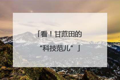 看！甘蔗田的“科技范儿”