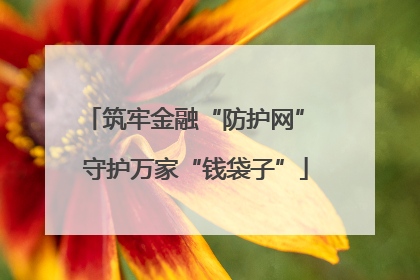 筑牢金融“防护网” 守护万家“钱袋子”
