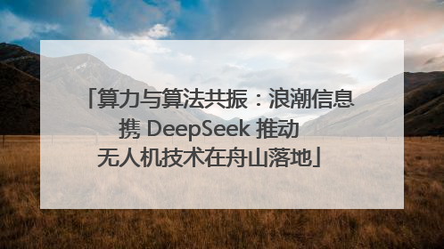 算力与算法共振：浪潮信息携 DeepSeek 推动无人机技术在舟山落地