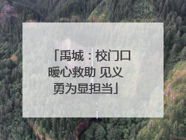 禹城：校门口暖心救助 见义勇为显担当